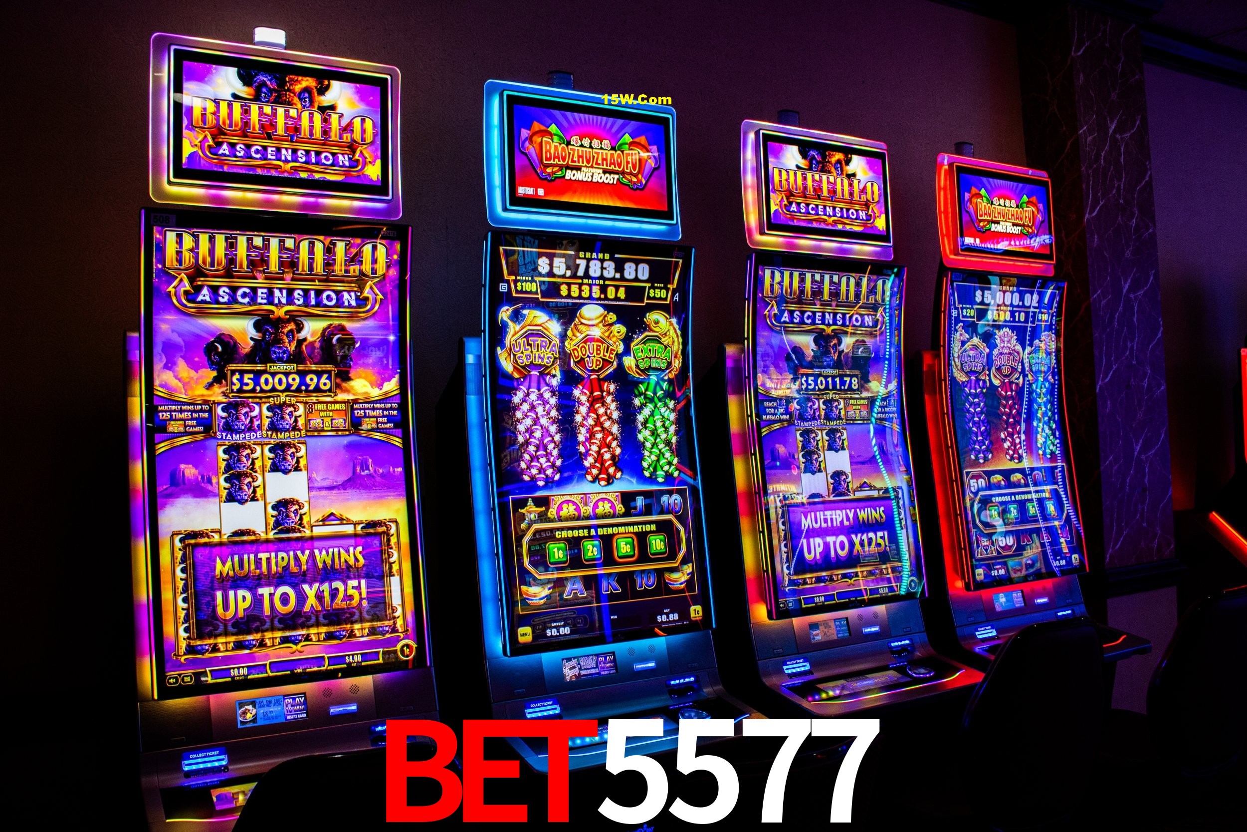 Live Casino Bet5577